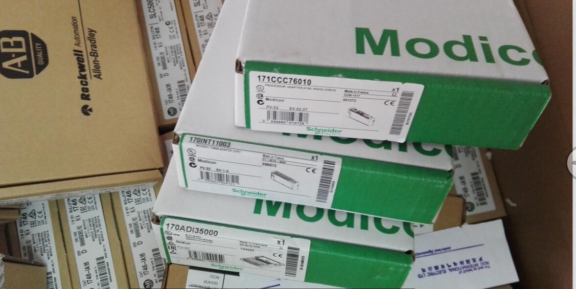 171CCC76010 Schneider Modicon Momentum Brandy Original Factory Sealed New