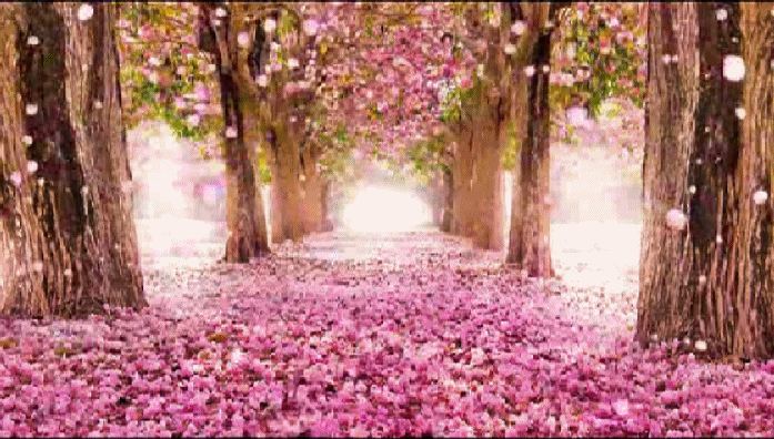 商品默认相册图片数量很多